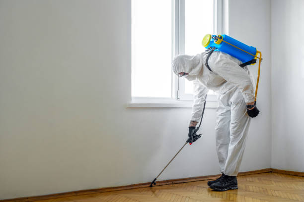 Best Rat Extermination Near Me  in Glenville, CT