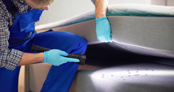 Best Pest Control for Businesses  in Glenville, CT